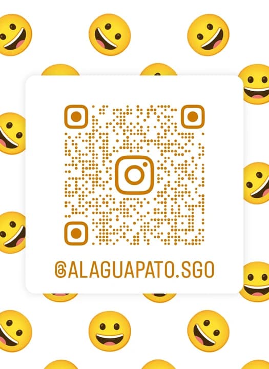 QR IG